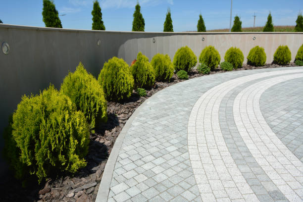 Best Driveway Paving Contractor  in Carrabelle, FL